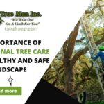 An arborist climbing a ladder against a tree with the blog title and a read more button highlighted.