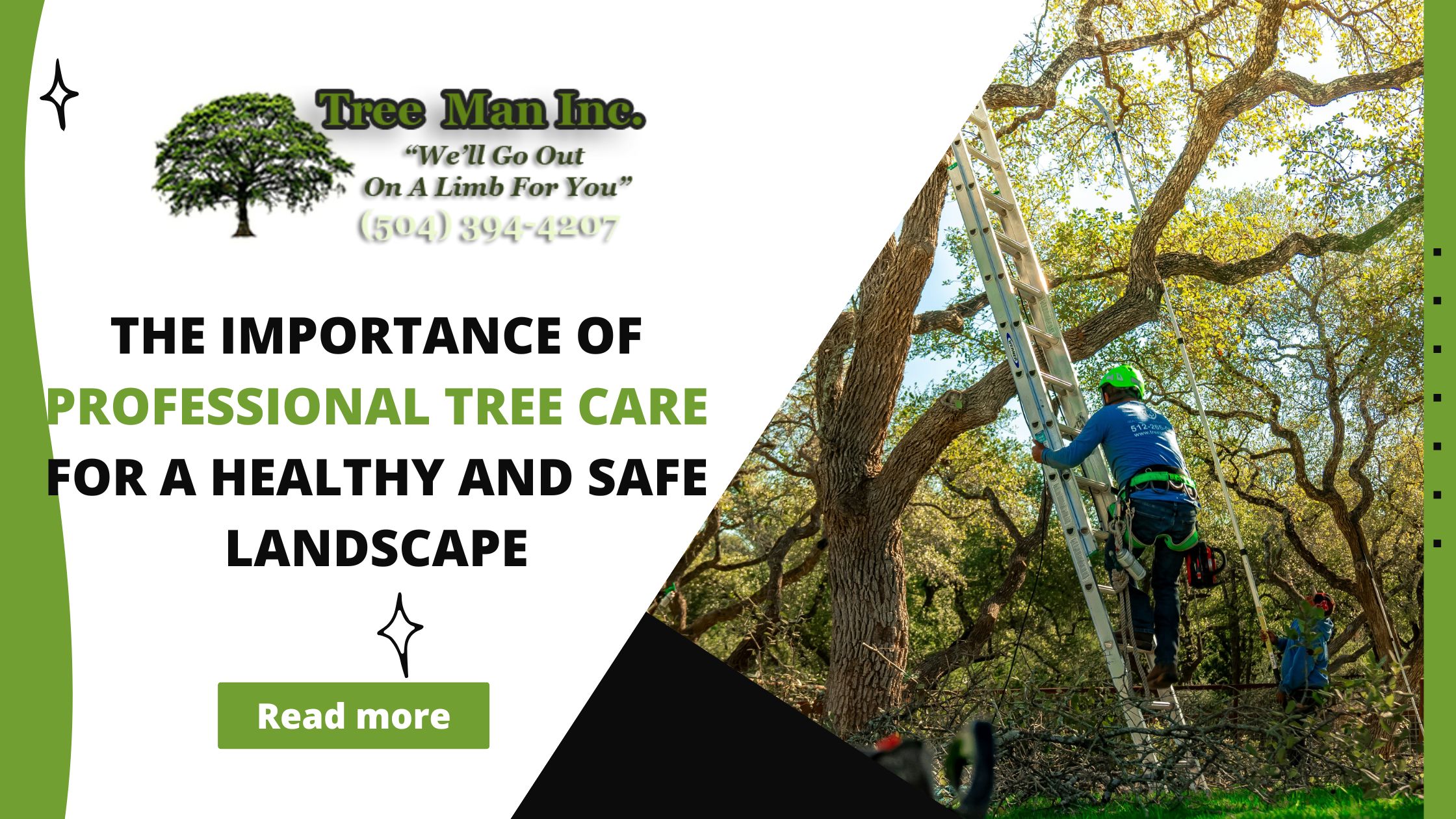 An arborist climbing a ladder against a tree with the blog title and a read more button highlighted.