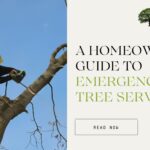 Blog banner showing a professional arborist cutting a large tree limb using ropes and safety equipment during emergency tree service