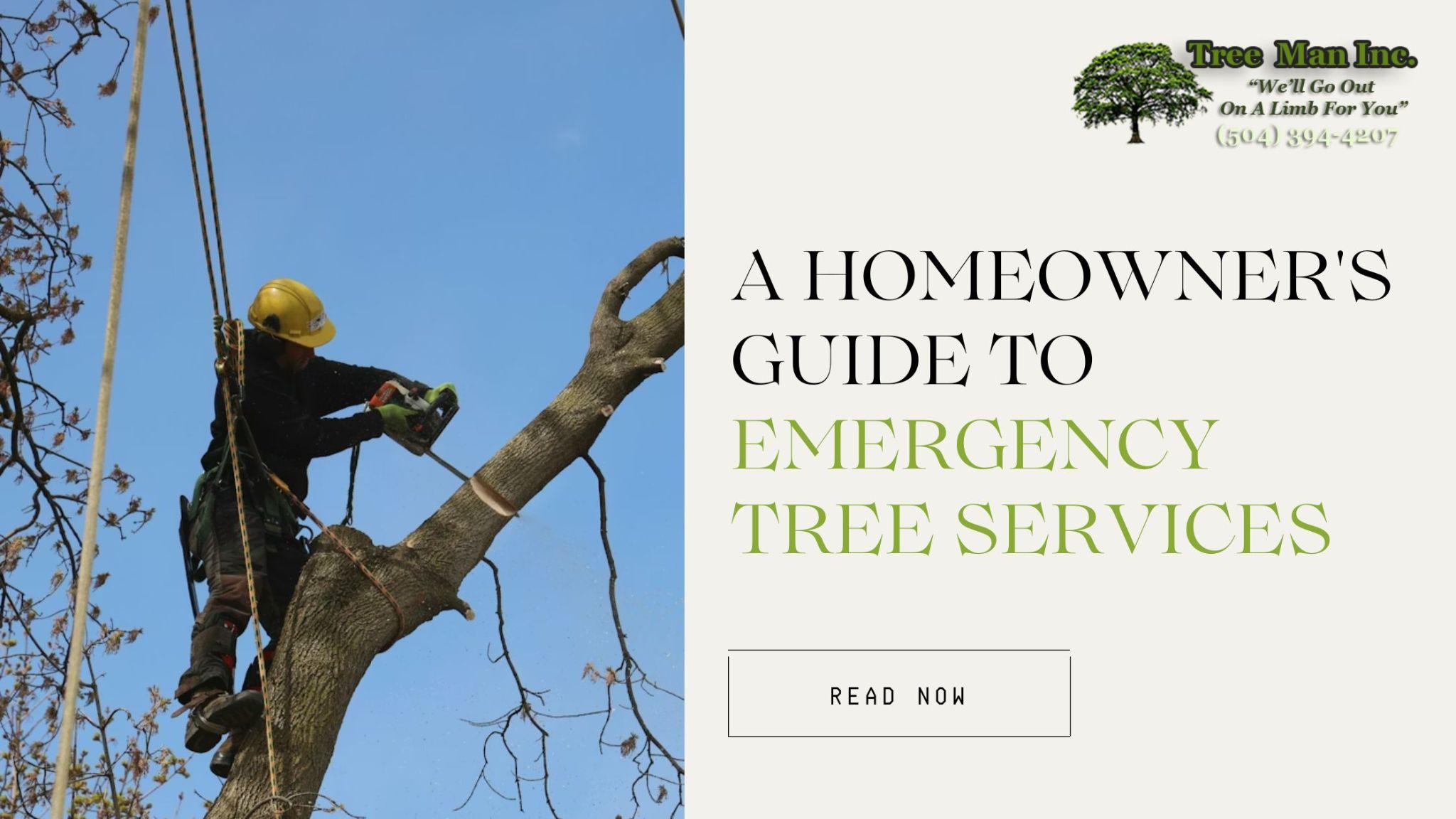 Blog banner showing a professional arborist cutting a large tree limb using ropes and safety equipment during emergency tree service