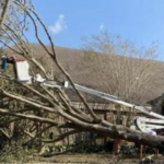 Tree Man Inc. bucket lift clearing a storm-damaged tree leaning over a house during emergency tree service in Belle Chasse, LA