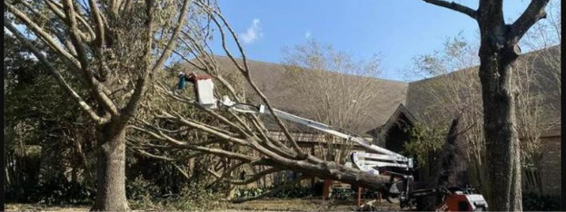 Tree Man Inc. bucket lift clearing a storm-damaged tree leaning over a house during emergency tree service in Belle Chasse, LA