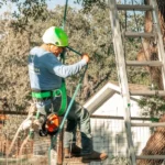 Tree Care in Algiers LA, a licensed arborist pruning high in a tree to prevent property damage, Tree Man Inc.