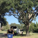 Tree Man Inc. bucket truck and crew working beneath a mature live oak during tree cutting services in Gretna