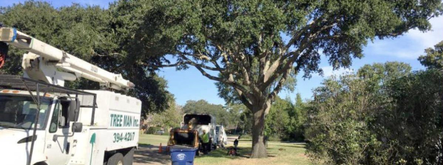 Tree Man Inc. bucket truck and crew working beneath a mature live oak during tree cutting services in Gretna