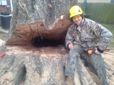 Tree Man Inc. crew providing professional tree care in Metairie, LA, inspecting trees for storm damage and safety