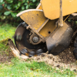 Stump removal company Gretna, LA, using professional stump grinding equipment to remove tree stump safely – Tree Man Inc.