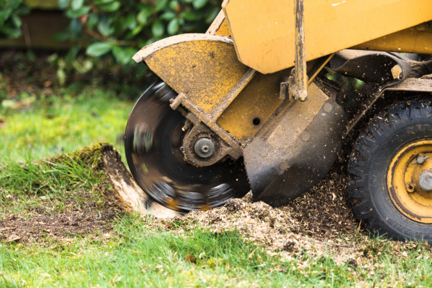 Stump removal company Gretna, LA, using professional stump grinding equipment to remove tree stump safely – Tree Man Inc.