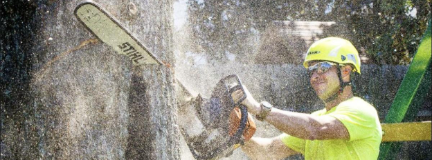 Tree Man Inc. climber making a cut with a chainsaw during tree trimming services in Harahan, LA