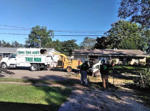 Tree Man Inc. crew performing professional tree and stump removal in Metairie, LA, safely clearing a residential property