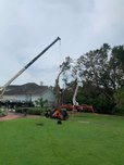 crane removal 2 track lift