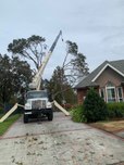 crane removal