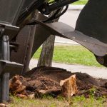 Stump Grinding in Gretna LA, stump grinder cutting a hardwood stump below grade in a residential yard, Tree Man Inc.