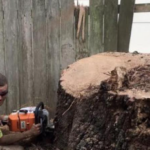 Tree Man Inc. crew working on a large stump before stump grinding in Terrytown, LA