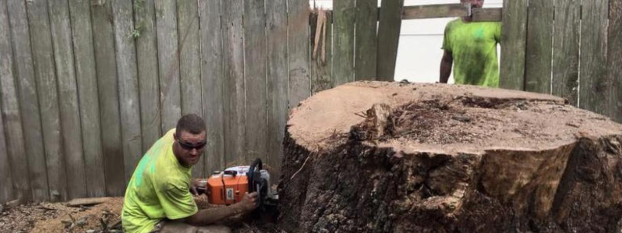 Tree Man Inc. crew working on a large stump before stump grinding in Terrytown, LA