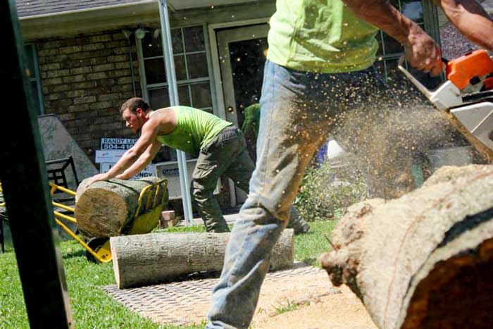 Arborist